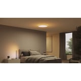 Philips Hue Hue White & Color Ambiance loftlampe Datura, stor, LED lys Hvid