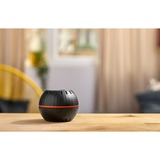 Shelly H&T, Thermodetektor Sort