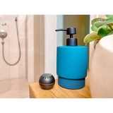 Shelly H&T, Thermodetektor Sort