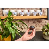 Shelly H&T, Thermodetektor Sort