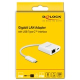 DeLOCK 65402 netværkskort Ethernet 5000 Mbit/s, Adapter Hvid, Ledningsført, USB Type-C, Ethernet, 5000 Mbit/s, Hvid