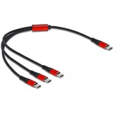 DeLOCK 86712 USB-kabel 0,3 m USB 2.0 USB C 3x USB C Sort, Rød Sort/Rød, 0,3 m, USB C, 3x USB C, USB 2.0, Sort, Rød