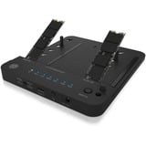 ICY BOX IB-2915MSCL-C31 USB 3.2 Gen 2 (3.1 Gen 2) Type-C Sort, Docking station HDD, SSD, SATA, Serial ATA II, Serial ATA III, 2.5,3.5,M.2, USB 3.2 Gen 2 (3.1 Gen 2) Type-C, Sort, Plast