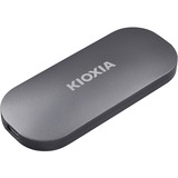 Kioxia Solid state-drev grå
