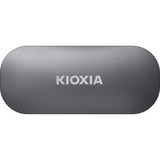 Kioxia Solid state-drev grå