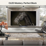 LG OLED55C6ELB.AEUD, OLED-TV Sort