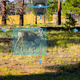 Reolink Reolink Trackmix Series G770 med Solarpanel 2, Overvågningskamera camouflage