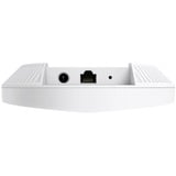 TP-Link Festa F65, Adgangspunktet 