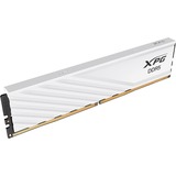 ADATA AX5U5600C4632G-SLABWH, Hukommelse Hvid