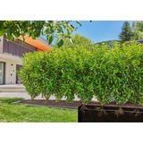 GARDENA Micro-Drip-System drypvandingssæt til hække/buske, 50 meter, Drippers Sort