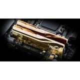 G.Skill F5-8000J3848H16GX2-TR5NG, Hukommelse Guld