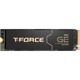 Team Group TM8FG3002T0C133, Solid state-drev Sort/Guld