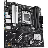 ASUS PRIME A620AM-A-CSM, Bundkort 