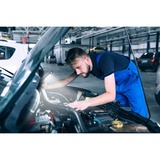 Ansmann WL210B, Arbejds lys Sort/Blå