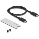 DeLOCK Kabinet til drev M.2 NVMe USB 40 Gbps gamingstil, Drev kabinet grå