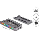 DeLOCK Kabinet til drev M.2 NVMe USB 40 Gbps gamingstil, Drev kabinet grå