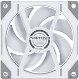 Phanteks D30-120 PWM Regular, Sag fan Hvid