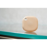 Shelly BLU Button Tough1, Knappen Mocca