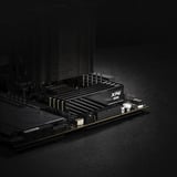 ADATA AX5U6000C3624G-DTLABBK, Hukommelse Sort