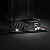 ADATA DIMM 48 GB DDR5-6000 (2x 24 GB) Dual-Kit, Hukommelse Sort