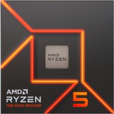 AMD Processor boxed