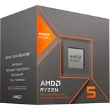 AMD Ryzen™ 5 8600G, Processor boxed