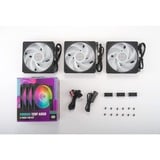 Cooler Master MFZ-M2DN-243P2-R1, Sag fan Sort