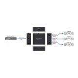 DeLOCK 63397, Splittere &amp; switche Sort