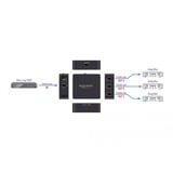 DeLOCK S/PDIF TOSLINK Splitter 1 Ind 3 Ud, med USB Strømforsyning, Splittere &amp; switche Sort