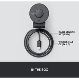 Logitech Brio 300, Webcam Sort