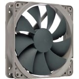 Noctua NA-FK1 redux 120x120x25, Sag fan grå
