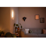 Philips Hue White & Color Ambiance Liane væglampe, LED lys Hvid