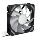 Sharkoon SHARK Mirror RGB PWM, Sag fan Sort
