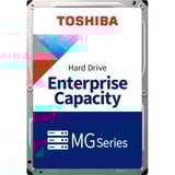 Toshiba MG10 22 TB, Harddisk 