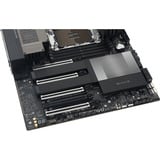 ASUS PRO WS W890-SAGE, Bundkort 