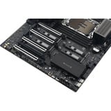 ASUS PRO WS W890-SAGE, Bundkort 