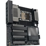ASUS PRO WS W890-SAGE, Bundkort 