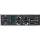 ASUS PRO WS W890-SAGE, Bundkort 