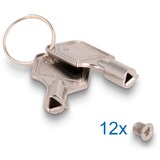 DeLOCK Slim Bay udskiftningsramme til 2 x 2,5″ U.2 NVMe SSD, Drev kabinet 