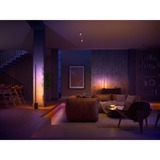 Philips Signe gradient bordlampe, LED lys Sort, Philips Hue White and Color ambiance Signe gradient bordlampe, Intelligent bordlampe, Sort, Bluetooth, LED, Ikke-udskiftelig pære(r), 2700 K