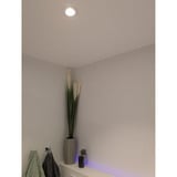 Shelly LightSolutions Hilux DS8 Indbygningsspot, LED lys Sort