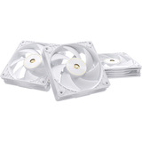 ASUS ProArt PF120, Sag fan Hvid