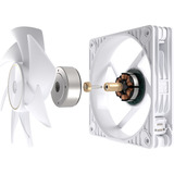 ASUS ProArt PF120, Sag fan Hvid