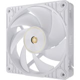 ASUS ProArt PF120, Sag fan Hvid