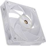 ASUS ProArt PF120, Sag fan Hvid