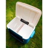 Coleman 2000036081, Køleboks Blå/Hvid