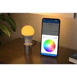 FRITZ! FRITZ!DECT 500, LED-lampe FRITZ!DECT 500, Smart pære, Sølv, Transparent, Hvid, LED, Flere, 2700 K, 6500 K