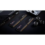 G.Skill F5-6000J3036F16GX2-FX5, Hukommelse Sort