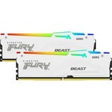 Kingston FURY FURY Beast 64 GB 5600 MT/s DDR5 CL36 DIMM (sæt med 2) White RGB EXPO, Hukommelse Hvid, 64 GB, 2 x 32 GB, DDR5, 288-pin DIMM