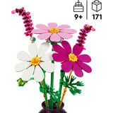 LEGO Botanicals Kosmeen, Bygge legetøj 